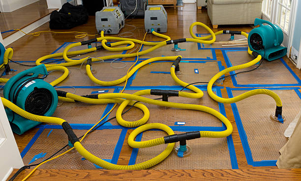 Professional Crawl Space Water Removal technician working in Joshua, TX